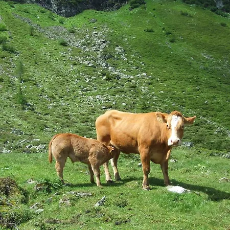 霍德霍夫酒店 * 斯拉德明