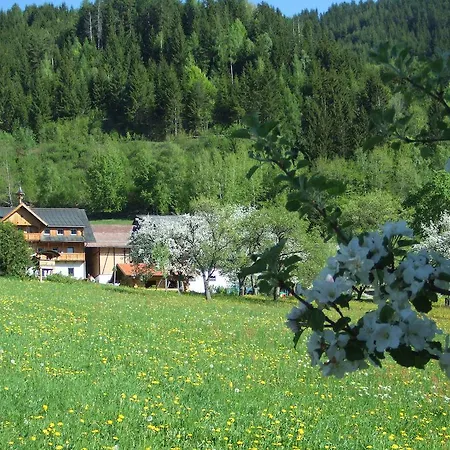 Farm stay Holdhof Schladming
