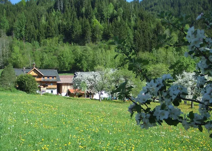 Vakantieboerderij Holdhof Schladming